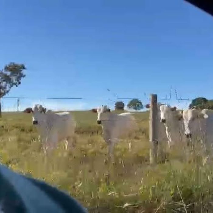 648081813_122118193647241105_3076693593109639549_n