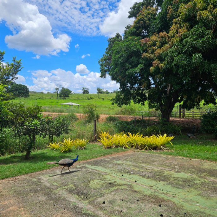 Captura de tela 2026-04-16 101554