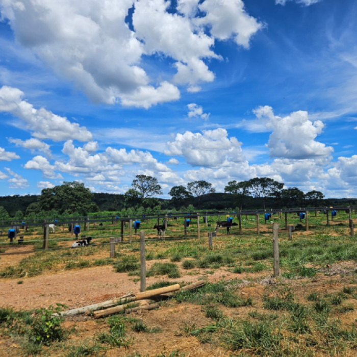 Captura de tela 2026-04-16 102238