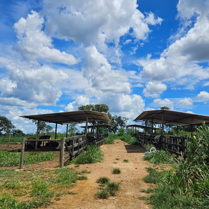 Captura de tela 2026-04-16 102245