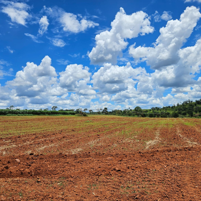 Captura de tela 2026-04-16 102255