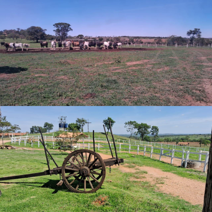 Captura de tela 2026-04-16 103312