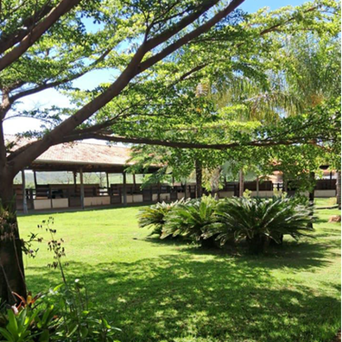 Captura de tela 2026-04-16 103353