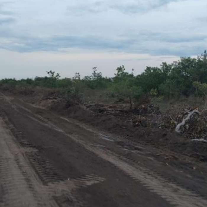 Captura de tela 2026-04-23 103807