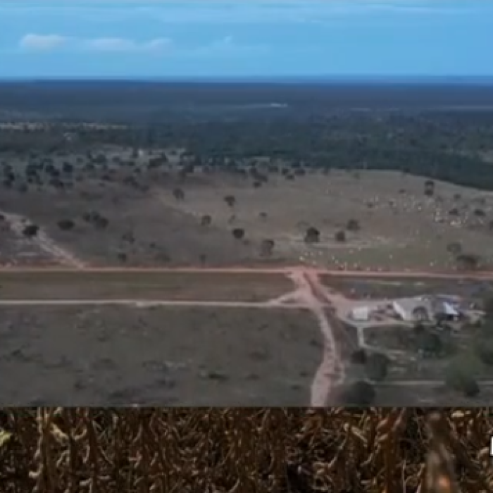 Captura de tela 2026-05-04 093145