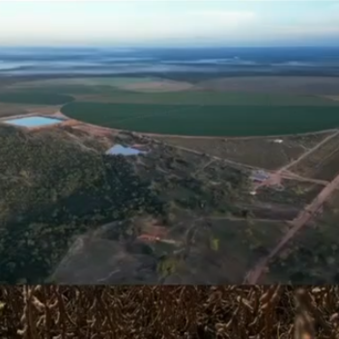 Captura de tela 2026-05-04 093156