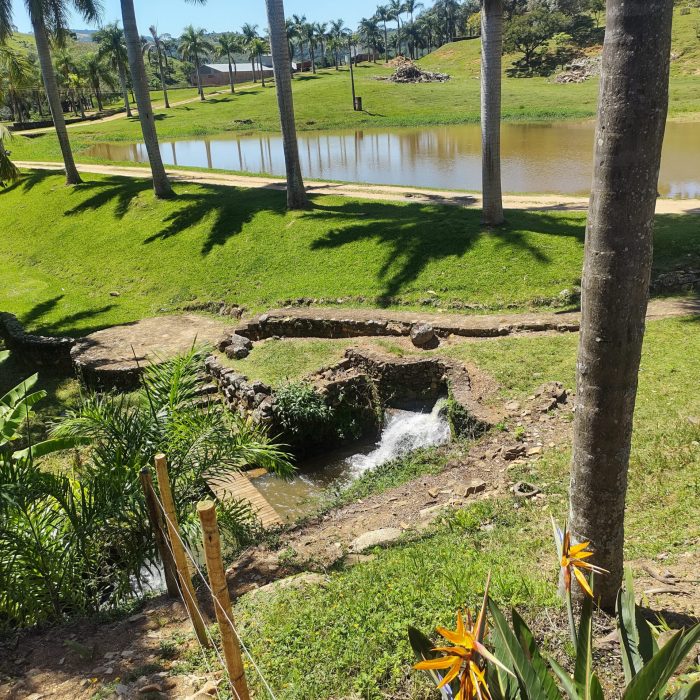 IMG_20250321_111727622_HDR