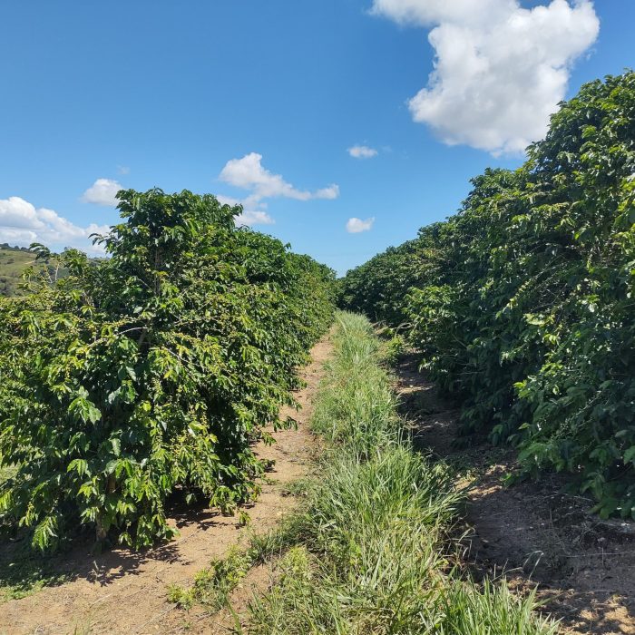 IMG_20250321_114521049_HDR