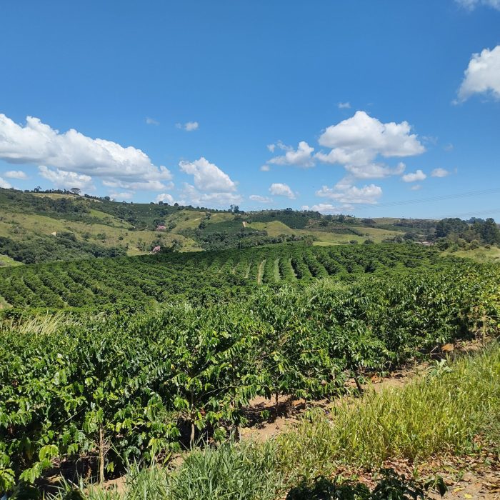 IMG_20250321_115012828_HDR
