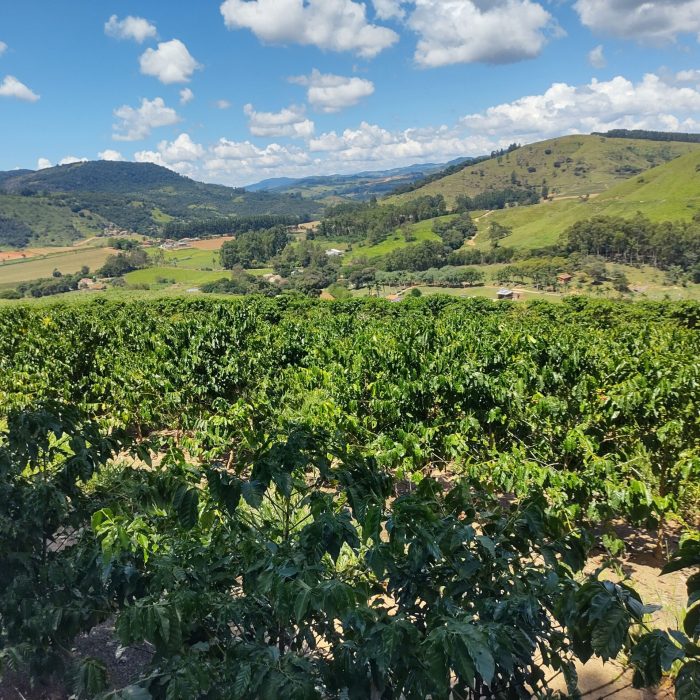 IMG_20250321_115021756_HDR