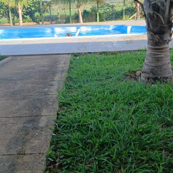WhatsApp Image 2026-04-01 at 10.05.31