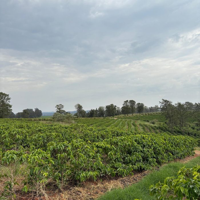 WhatsApp Image 2026-04-07 at 10.10.50 (4)