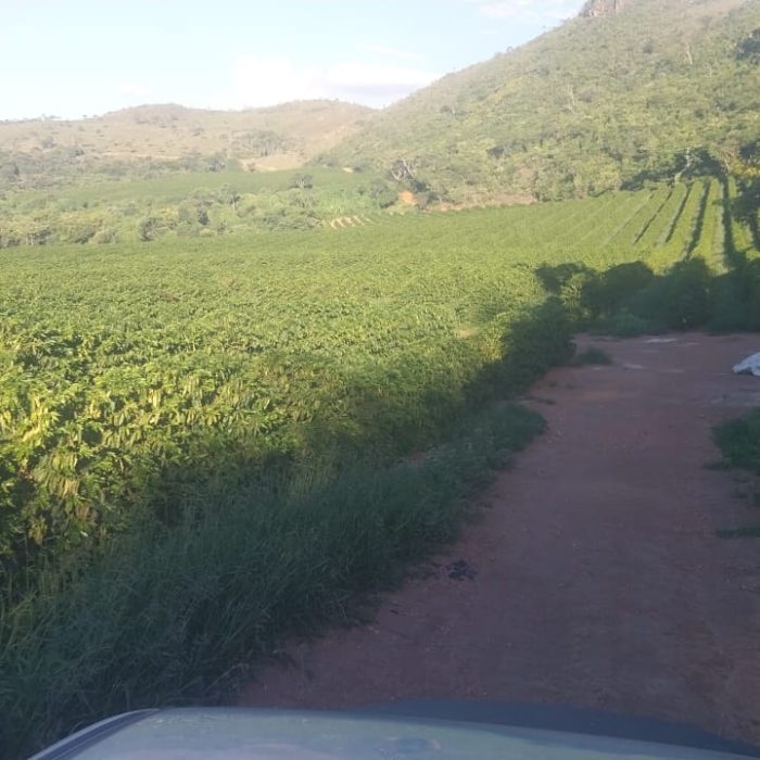 WhatsApp Image 2026-04-08 at 14.12.26 (1)