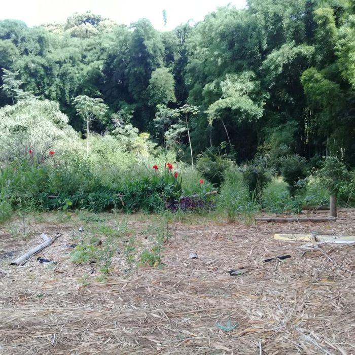 WhatsApp Image 2026-04-09 at 20.39.11 (4)