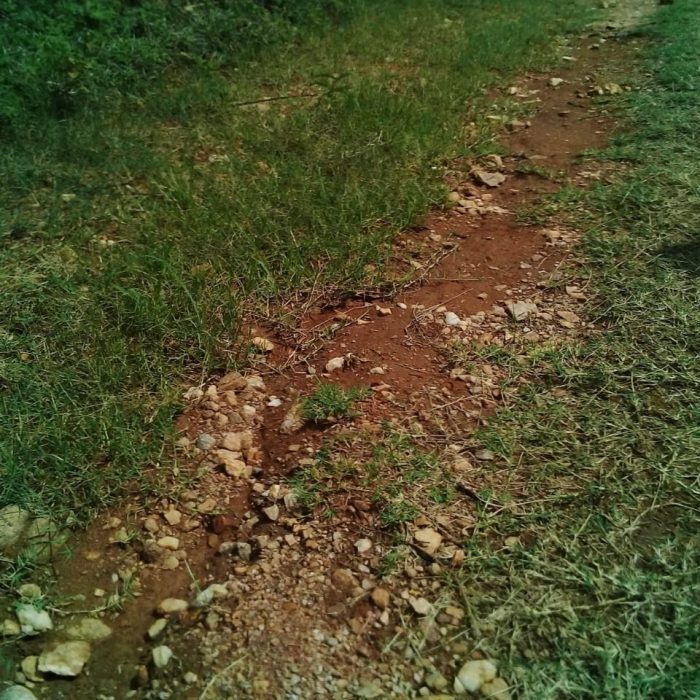 WhatsApp Image 2026-04-09 at 20.39.13 (2)