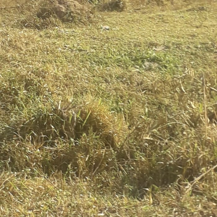 WhatsApp Image 2026-04-13 at 15.56.04 (2)