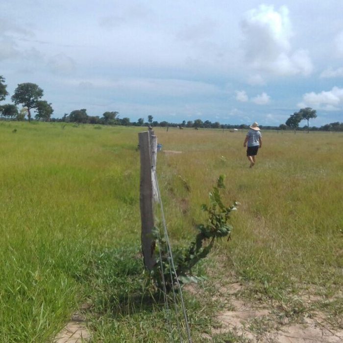 WhatsApp Image 2026-04-23 at 11.11.11 (4)