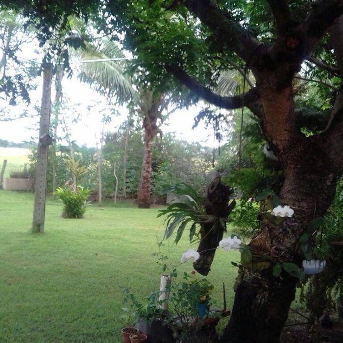 WhatsApp Image 2026-04-23 at 11.11.13 (5)
