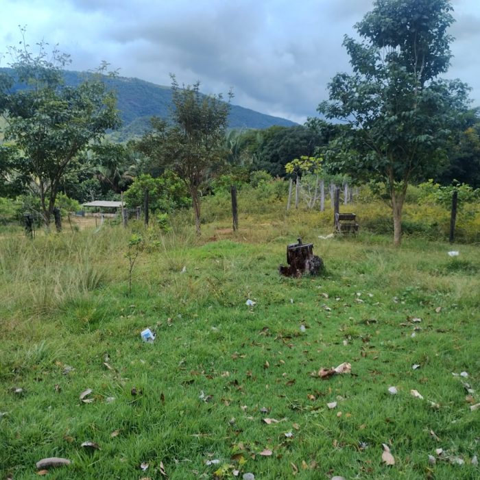 WhatsApp Image 2026-05-08 at 11.04.14
