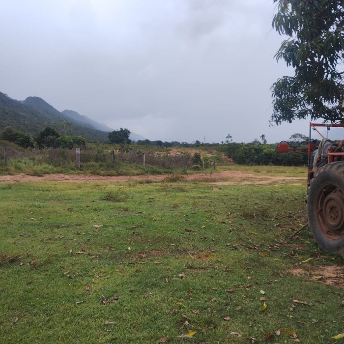 WhatsApp Image 2026-05-08 at 11.04.18 (1)