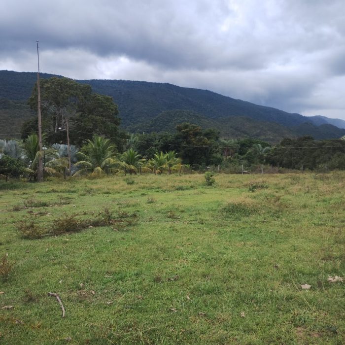 WhatsApp Image 2026-05-08 at 11.04.18 (4)
