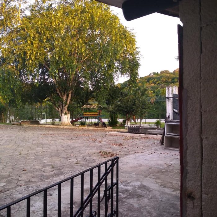 WhatsApp Image 2026-05-08 at 11.05.54