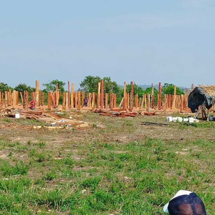 WhatsApp Image 2026-05-08 at 15.49.50 (2)