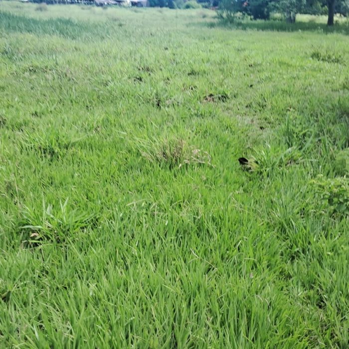 WhatsApp Image 2026-05-13 at 16.43.37 (1)