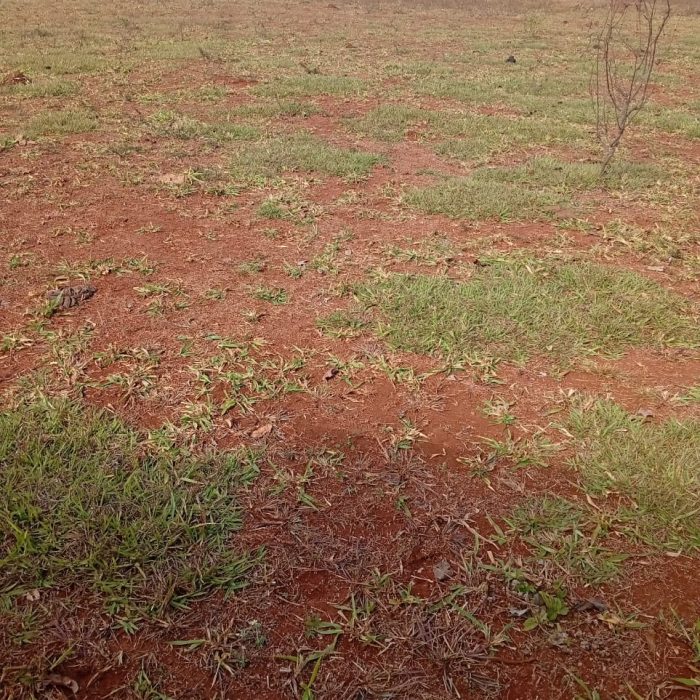 WhatsApp Image 2026-05-13 at 16.45.46 (2)