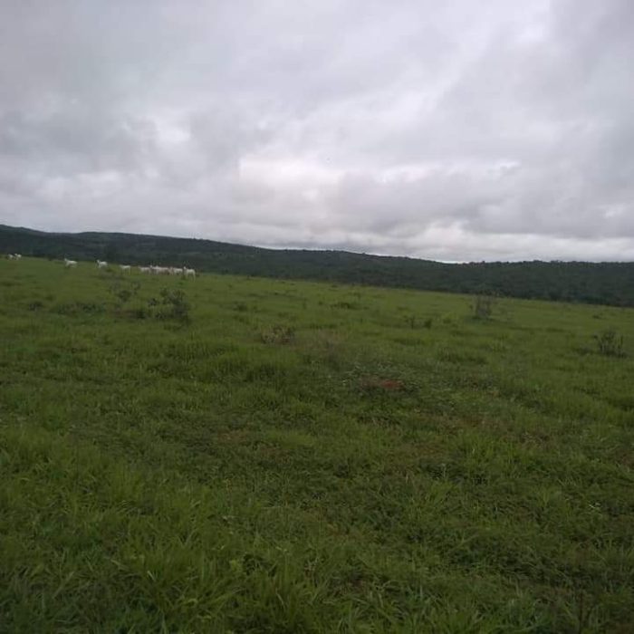 WhatsApp Image 2026-05-18 at 08.42.35 (3)