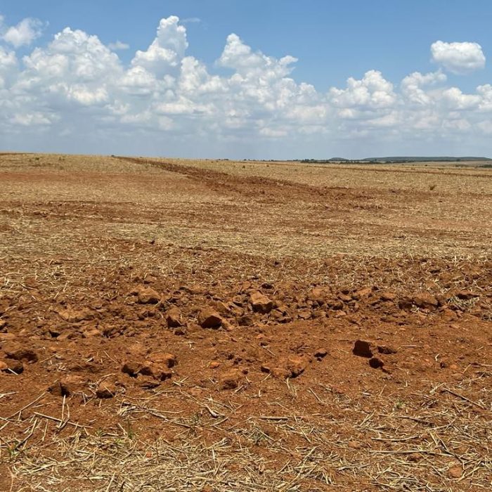 WhatsApp Image 2026-06-03 at 12.23.11 (3)