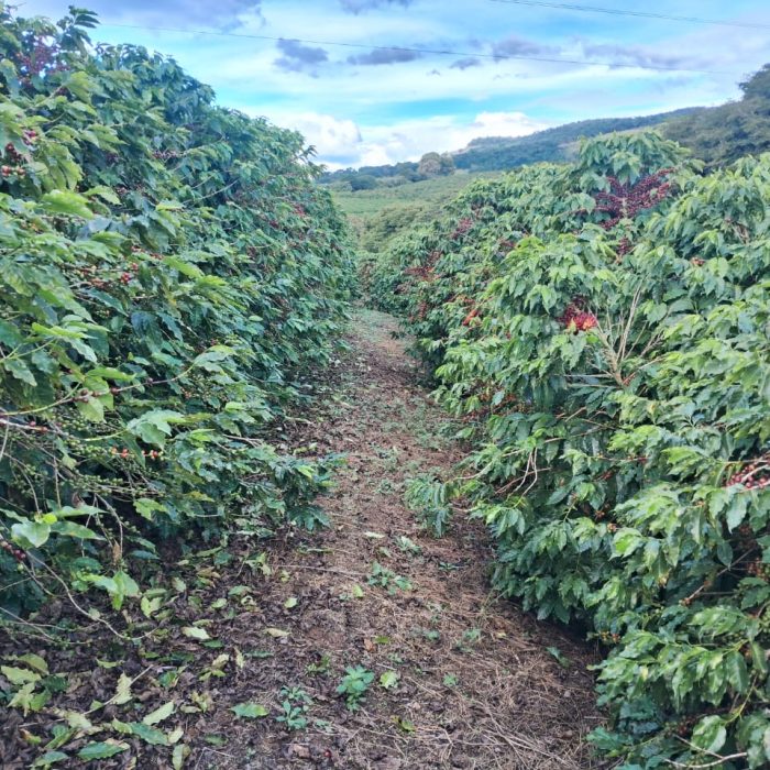 WhatsApp Image 2026-06-11 at 13.46.09