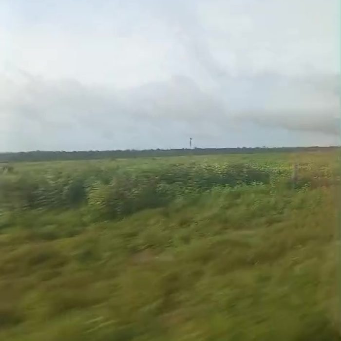 vlcsnap-2026-04-17-08h58m49s882