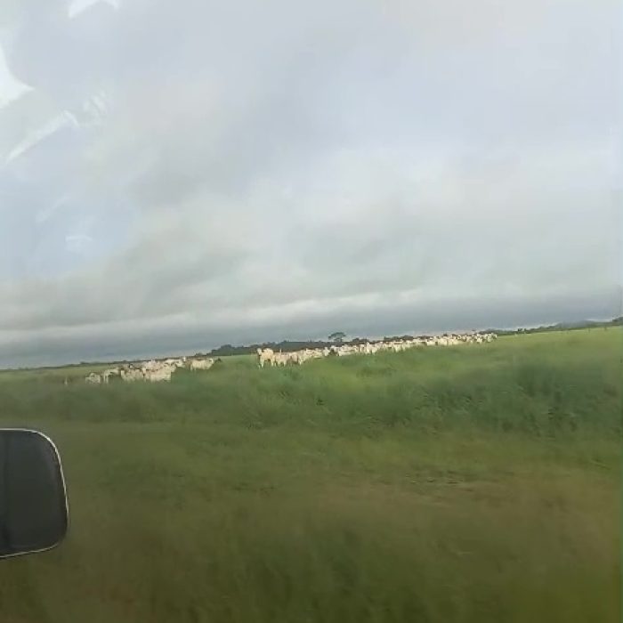 vlcsnap-2026-04-17-08h59m22s364