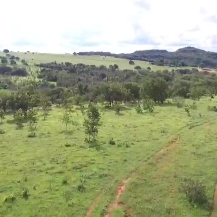 vlcsnap-2026-04-21-12h09m45s617