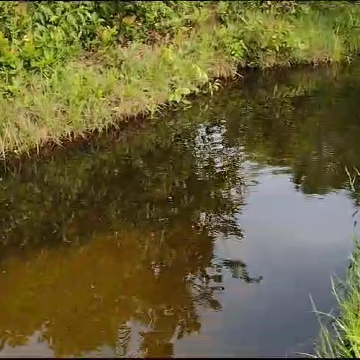 vlcsnap-2026-04-25-12h40m08s277