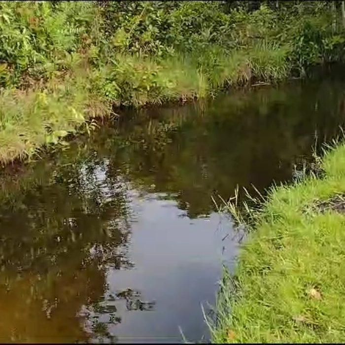 vlcsnap-2026-04-25-12h40m10s410