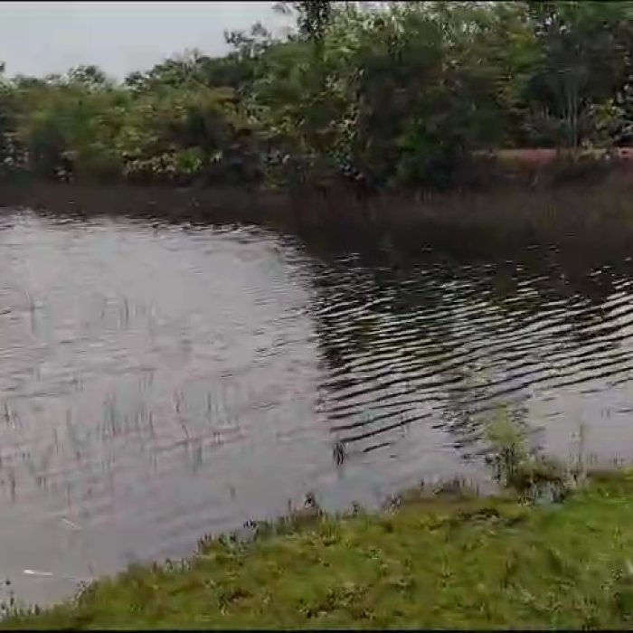 vlcsnap-2026-04-25-12h40m15s573