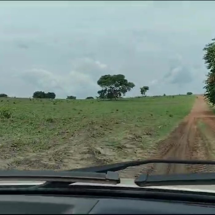 vlcsnap-2026-04-25-12h40m52s247
