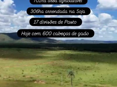 vlcsnap-2026-05-12-08h37m28s523