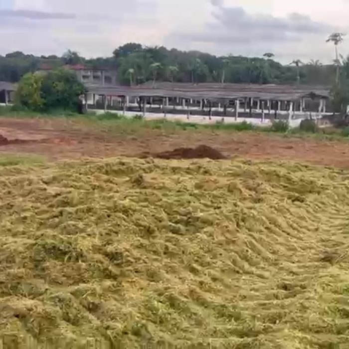 vlcsnap-2026-05-14-12h37m20s167