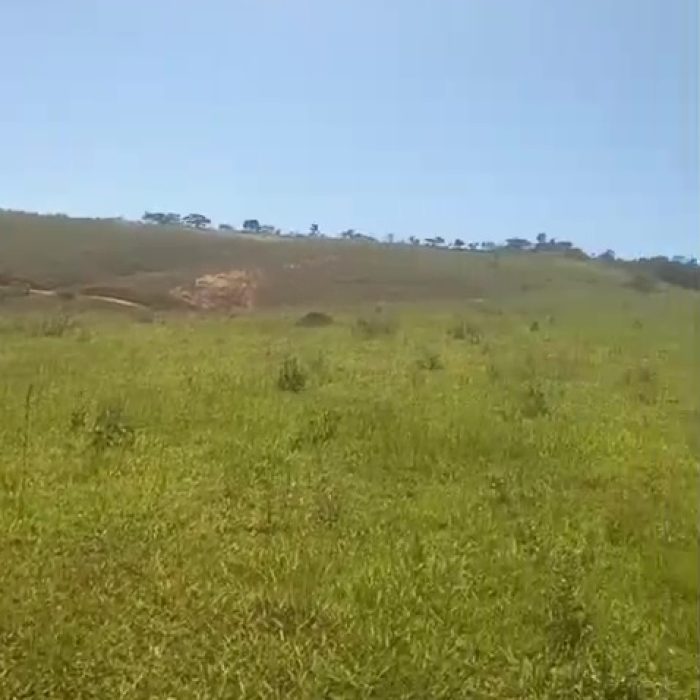 vlcsnap-2026-06-19-10h43m24s191