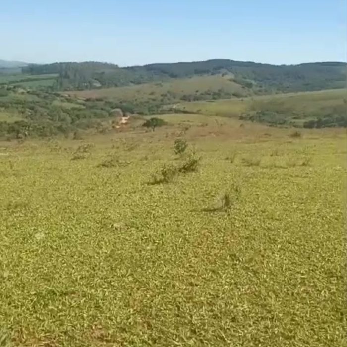 vlcsnap-2026-06-19-10h44m33s247