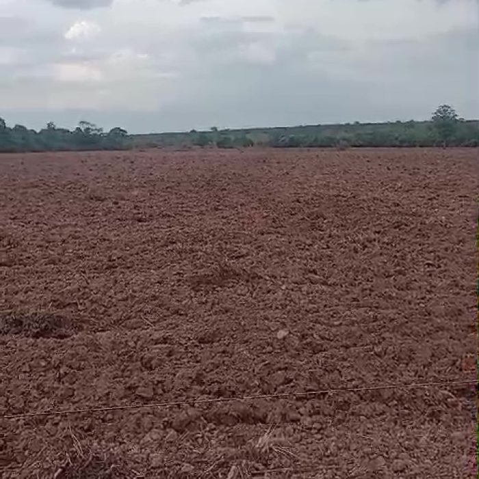 vlcsnap-2026-06-29-17h36m43s867